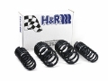 Picture of H&R 96-01 Audi A4 Quattro AWD B5 Sport Spring