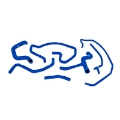 Picture of Mishimoto 02-04 Ford Focus SVT Blue Silicone Hose Kit