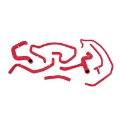 Picture of Mishimoto 02-04 Ford Focus SVT Red Silicone Hose Kit