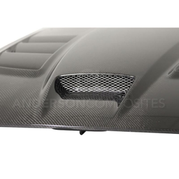 Picture of Anderson Composites 03-09 Dodge Viper Type-ACR Hood