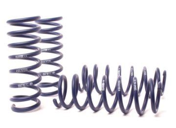 Picture of H&R 11-16 BMW 550i xDrive F10 Sport Spring