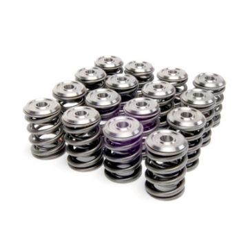 Picture of Skunk2 Alpha Series Honda-Acura B Series Valve Spring and Titanium Retainer Kit