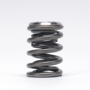 Picture of Skunk2 Alpha Series Honda-Acura B Series Valve Spring and Titanium Retainer Kit