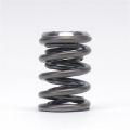 Picture of Skunk2 Alpha Series Honda-Acura K Series Valve Spring and Titanium Retainer Kit