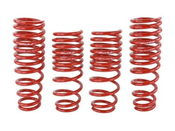 Picture of Skunk2 94-01 Acura Integra Lowering Springs 2-50in - 2-25in- Set of 4