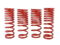 Picture of Skunk2 88-91 Honda Civic-CRX Lowering Springs 2-50in - 2-25in- Set of 4