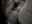 Picture of W377CO-W136CO