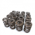 Picture of Skunk2 Tuner Series Honda-Acura H22A-F20B DOHC VTEC Alpha Valve Spring Set Dual Springs