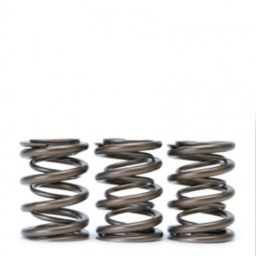 Picture of Skunk2 Tuner Series Honda-Acura H22A-F20B DOHC VTEC Alpha Valve Spring Set Dual Springs