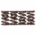 Picture of Skunk2 Pro Series Honda-Acura B-Series VTEC XP Valve Spring Set Dual Springs