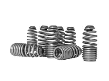Picture of Skunk2 Honda-Acura VTEC B Series Spring Type Lost Motion Assembly Kit