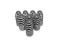 Picture of Skunk2 Honda-Acura VTEC B Series Spring Type Lost Motion Assembly Kit