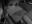 Picture of W32-W50-W50