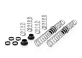 Picture of Eibach Pro-UTV 2019 Honda Talon 1000R Stage 2 Performance Springs For OE Fox Shocks