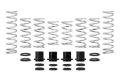 Picture of Eibach Pro-UTV 17-18 Polaris XP1000 Turbo 2-Seat Stage 2 Performance Springs