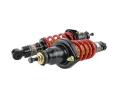 Picture of Skunk2 01-05 Honda Civic - 01-05 Acura Integra Pro-ST Coilovers Front 10 kg-mm - Rear 10 kg-mm