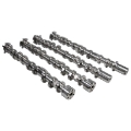 Picture of COMP Cams Camshaft Set 2018+ Ford Coyote 5-0L STG2 NST Thumper