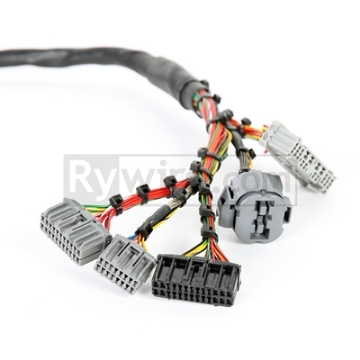 Picture of Rywire Honda B-Series Mil-Spec Eng Harness w-OBD2 Dist-Inj-Alt & OBD1 92-95 ECU Plugs Adapter Req