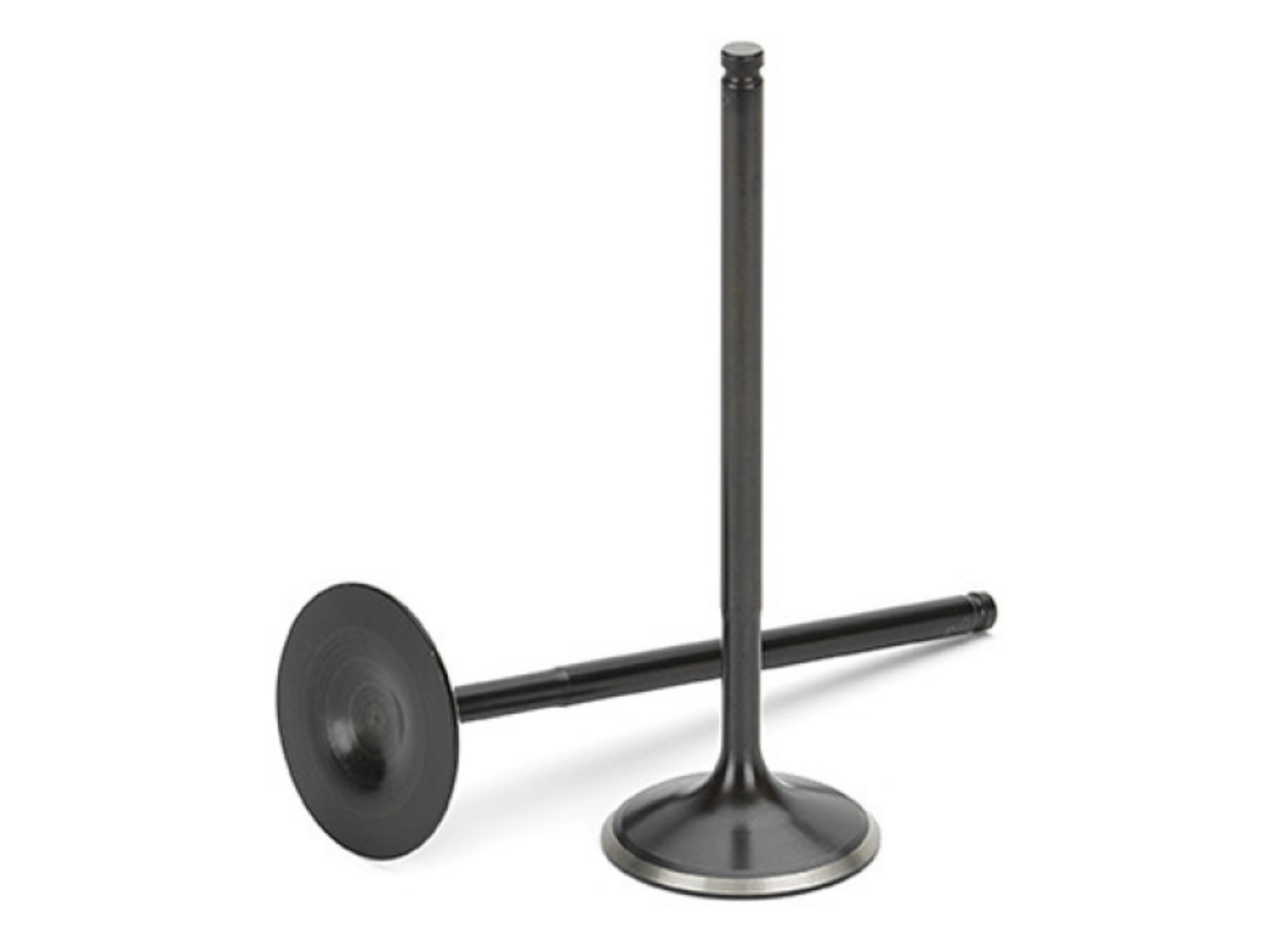 Picture of Supertech BMW M50-M52-S50-S52 Black Nitrided Exhaust Valve - +1mm Oversize - Set of 12