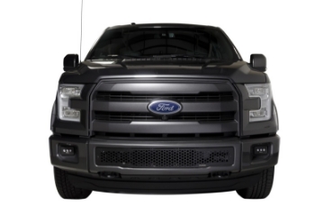 Picture of Putco 15-17 Ford F-150 - Stainless Steel Black Punch Design Bumper Grille Inserts