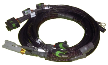 Picture of Haltech 8 Channel Individual High Output IGN-1A Inductive Coil Harness