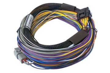 Picture of Haltech Elite 750 Basic Universal Wire-In Harness - 2-5m 8ft