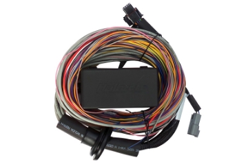 Picture of Haltech Elite 750 Premium Universal Wire-In Harness - 2-5m 8ft