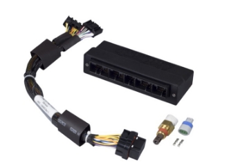 Picture of Haltech Elite 750 Plug-n-Play Adaptor Harness