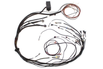 Picture of Haltech Elite 1000 Terminated Harness