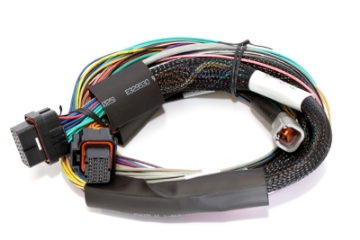 Picture of Haltech Elite 1500 Basic Universal Wire-In Harness w-o Relays or Fuses - 2-5m 8ft