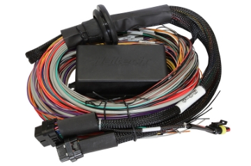 Picture of Haltech Elite 1500 Premium Universal Wire-In Harness - 2-5m 8ft