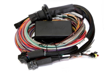 Picture of Haltech Elite 2500-2500 T Premium Universal Wire-In Harness - 2-5m 8ft