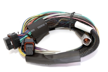 Picture of Haltech Elite 2500 Basic Universal Wire-In Harness ECU Kit