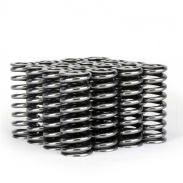 Picture of Skunk2 Alpha Series Honda D Series VTEC Valve Spring Set