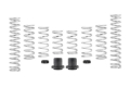 Picture of Eibach Pro-UTV 14-16 Polaris RZR XP 4 1000 EPS Stage 2 Performance Springs
