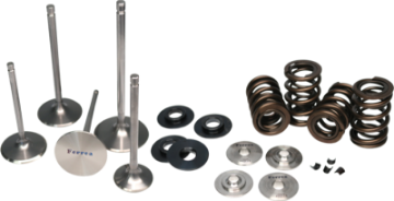 Picture of Ferrea 12-15 Scion-Subaru FR-S-BRZ Dual Spring Kit