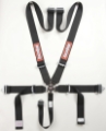 Picture of RaceQuip Black SFI CAMLOCK 5pt PD Lap Seat Belt