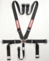 Picture of RaceQuip Black SFI CAMLOCK 5pt PD Lap Seat Belt