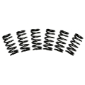 Picture of BD Diesel Valve Spring Kit 60lb Cummins 5-9 12-valve