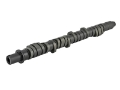 Picture of Skunk2 Tuner Series D-Series Honda Stage 2 Camshaft