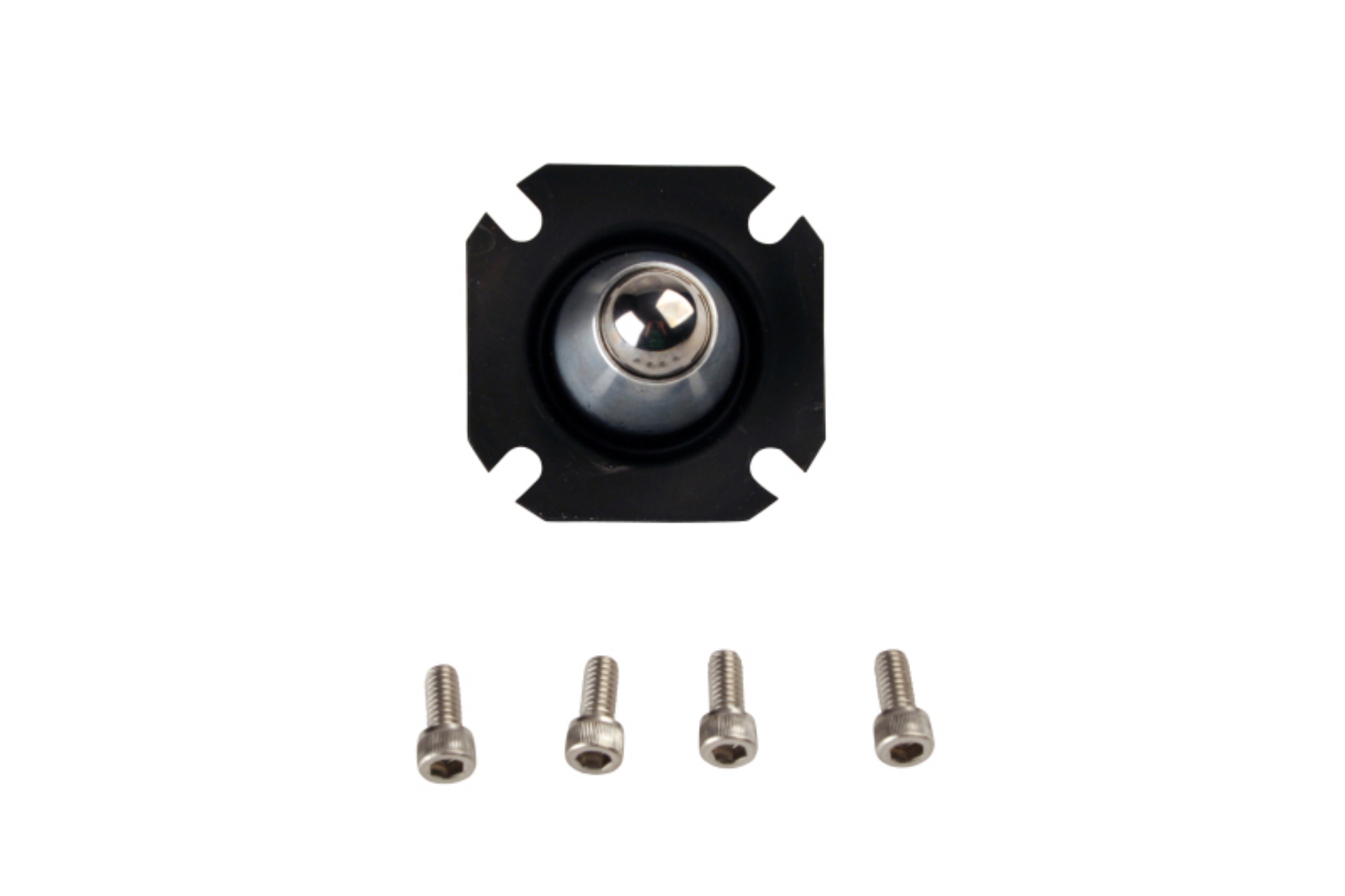 Picture of Aeromotive Regulator Repair Kit for 13301-13351