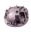 Picture of Ford Racing 1999-2004 Cobra IRS Axle Girdle Cover