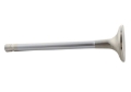 Picture of Ford Racing Exhaust Valve 302-351W