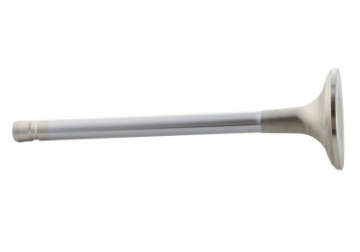 Picture of Ford Racing Exhaust Valve 302-351W