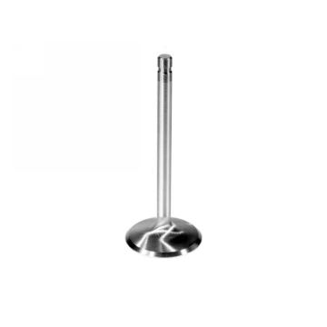Picture of Ford Racing Intake Valve
