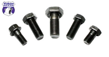 Picture of Yukon Gear 9in Ford Standard Open & Detroit Locker Ring Gear Bolt For Safety Wire