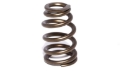 Picture of COMP Cams Valve Spring 1-589in Beehive