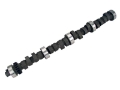 Picture of COMP Cams Camshaft FF 282S-10