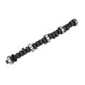 Picture of COMP Cams Camshaft FW 279T H-107 T Thumper