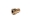 Picture of COMP Cams Bronze Gear CS-CB Rr W-MSD -4